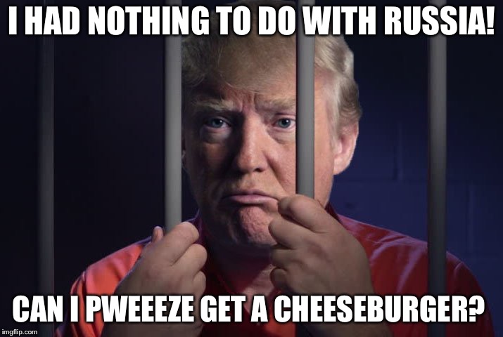 Trump in jail  | I HAD NOTHING TO DO WITH RUSSIA! CAN I PWEEEZE GET A CHEESEBURGER? | image tagged in trump in jail | made w/ Imgflip meme maker