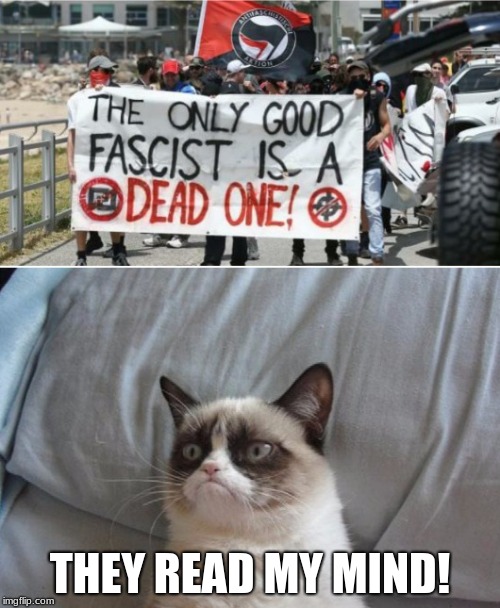 Grumpy cat vs antifa  | THEY READ MY MIND! | image tagged in grumpy cat vs antifa | made w/ Imgflip meme maker