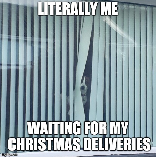 LITERALLY ME; WAITING FOR MY CHRISTMAS DELIVERIES | image tagged in chb | made w/ Imgflip meme maker