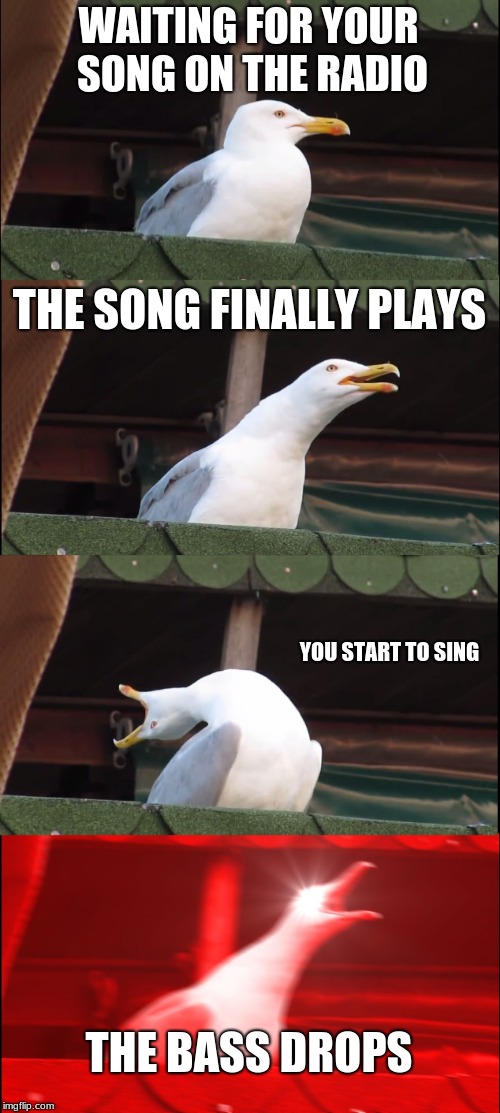 Inhaling Seagull | WAITING FOR YOUR SONG ON THE RADIO; THE SONG FINALLY PLAYS; YOU START TO SING; THE BASS DROPS | image tagged in memes,inhaling seagull | made w/ Imgflip meme maker