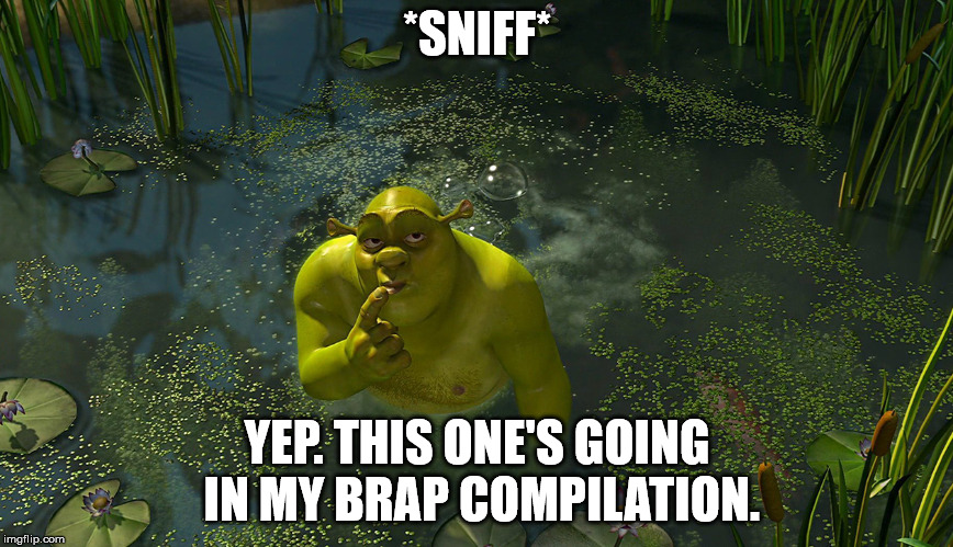 Yep, this one's going in my... | *SNIFF*; YEP. THIS ONE'S GOING IN MY BRAP COMPILATION. | image tagged in brap,fart,shrek,cringe compilation,sniff,yep | made w/ Imgflip meme maker