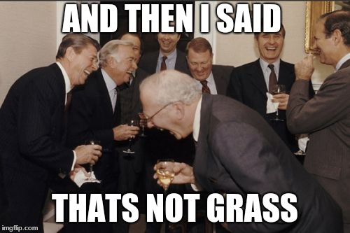 Laughing Men In Suits Meme | AND THEN I SAID; THATS NOT GRASS | image tagged in memes,laughing men in suits | made w/ Imgflip meme maker