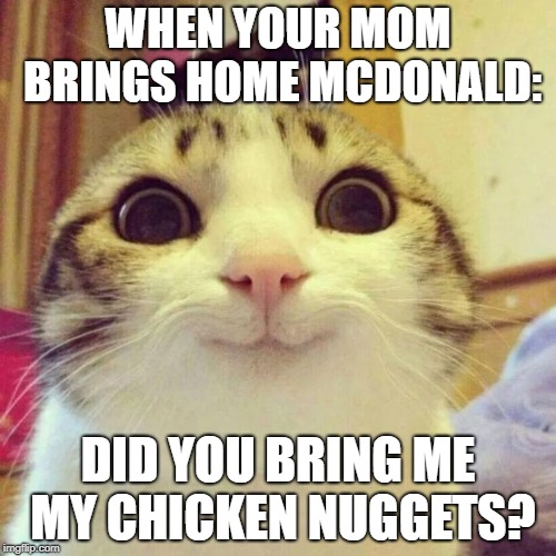 Smiling Cat | WHEN YOUR MOM BRINGS HOME MCDONALD:; DID YOU BRING ME MY CHICKEN NUGGETS? | image tagged in memes,smiling cat | made w/ Imgflip meme maker