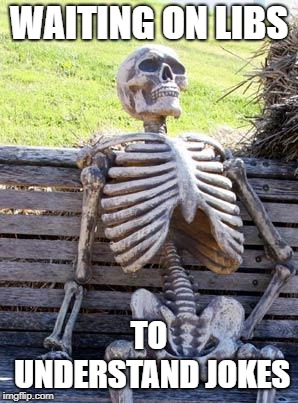 Waiting Skeleton Meme | WAITING ON LIBS TO UNDERSTAND JOKES | image tagged in memes,waiting skeleton | made w/ Imgflip meme maker