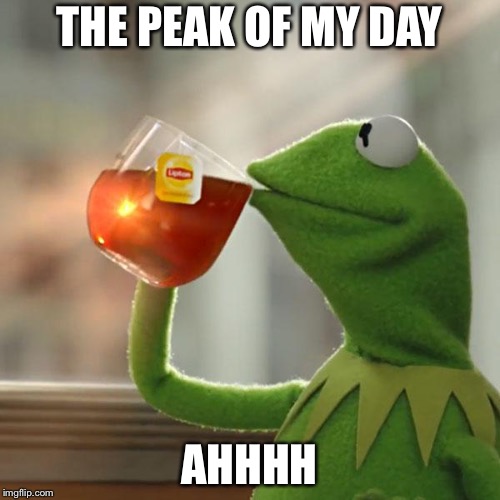 But That's None Of My Business | THE PEAK OF MY DAY; AHHHH | image tagged in memes,but thats none of my business,kermit the frog | made w/ Imgflip meme maker