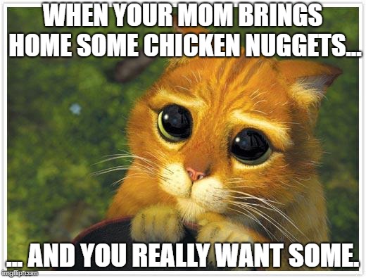 Shrek Cat Meme | WHEN YOUR MOM BRINGS HOME SOME CHICKEN NUGGETS... ... AND YOU REALLY WANT SOME. | image tagged in memes,shrek cat | made w/ Imgflip meme maker