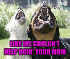 LIKE WE COULDN'T HELP DOIN' YOUR MOM | made w/ Imgflip meme maker