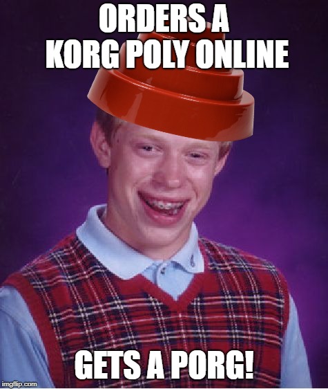 Bad Luck Brian Meme | ORDERS A KORG POLY ONLINE GETS A PORG! | image tagged in memes,bad luck brian | made w/ Imgflip meme maker
