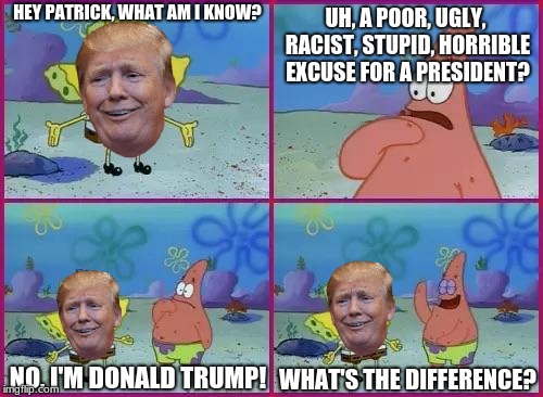 What's the difference? | UH, A POOR, UGLY, RACIST, STUPID, HORRIBLE EXCUSE FOR A PRESIDENT? HEY PATRICK, WHAT AM I KNOW? NO, I'M DONALD TRUMP! WHAT'S THE DIFFERENCE? | image tagged in texas spongebob | made w/ Imgflip meme maker