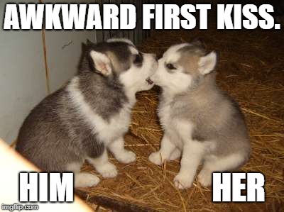 Cute Puppies Meme | AWKWARD FIRST KISS. HIM                      HER | image tagged in memes,cute puppies | made w/ Imgflip meme maker