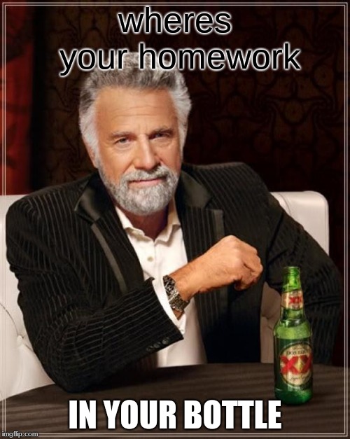 The Most Interesting Man In The World Meme | wheres your homework; IN YOUR BOTTLE | image tagged in memes,the most interesting man in the world | made w/ Imgflip meme maker