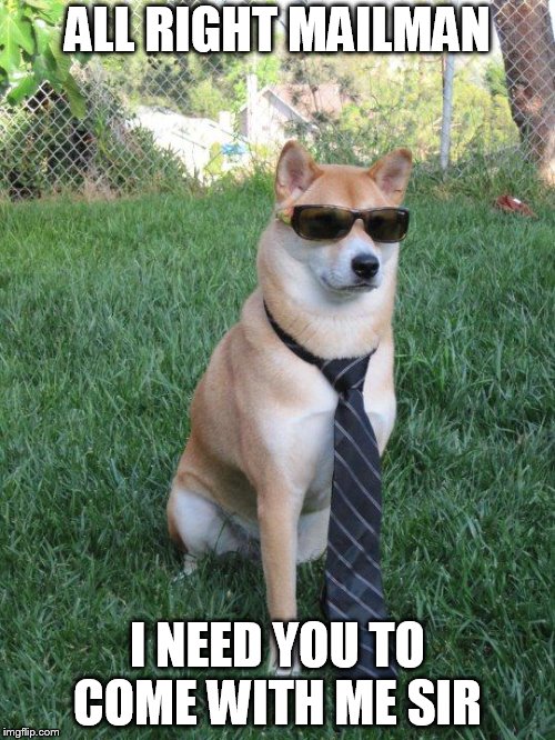 Business doge | ALL RIGHT MAILMAN; I NEED YOU TO COME WITH ME SIR | image tagged in business doge | made w/ Imgflip meme maker