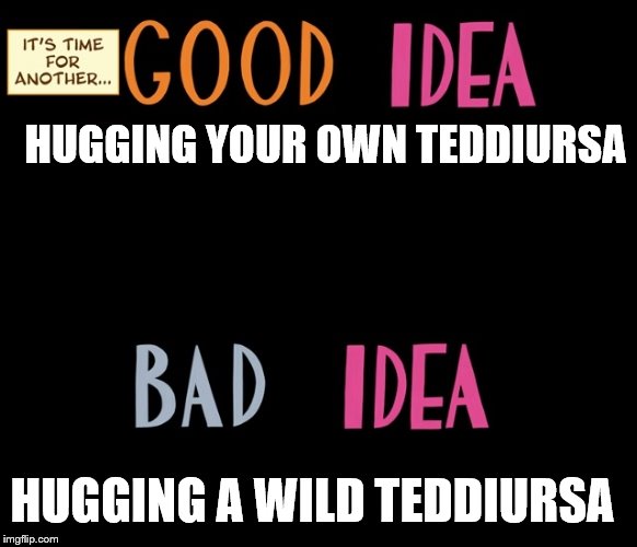 Good Idea/Bad Idea | HUGGING YOUR OWN TEDDIURSA; HUGGING A WILD TEDDIURSA | image tagged in good idea/bad idea | made w/ Imgflip meme maker