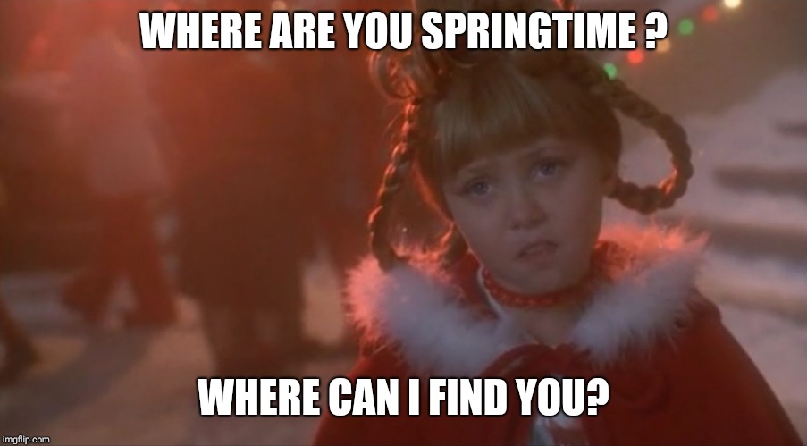 Sad Cindy Lou Who | WHERE ARE YOU SPRINGTIME ? WHERE CAN I FIND YOU? | image tagged in sad cindy lou who | made w/ Imgflip meme maker