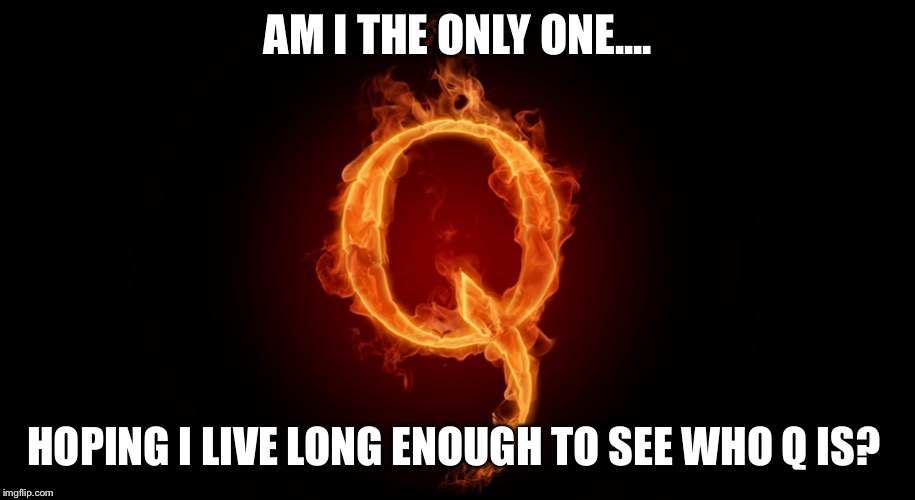 QANON | AM I THE ONLY ONE.... HOPING I LIVE LONG ENOUGH TO SEE WHO Q IS? | image tagged in qanon | made w/ Imgflip meme maker