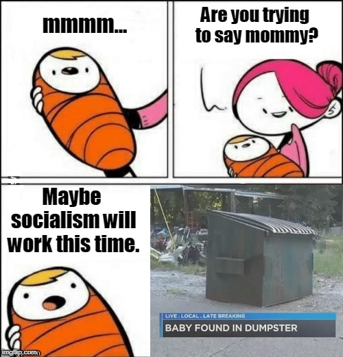baby first words | Are you trying to say mommy? mmmm... Maybe socialism will work this time. | image tagged in baby first words,socialism,democratic socialism,dumpster,memes,savage | made w/ Imgflip meme maker