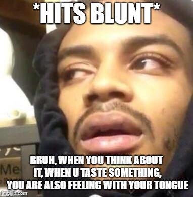 Hits Blunt | *HITS BLUNT*; BRUH, WHEN YOU THINK ABOUT IT, WHEN U TASTE SOMETHING, YOU ARE ALSO FEELING WITH YOUR TONGUE | image tagged in hits blunt | made w/ Imgflip meme maker