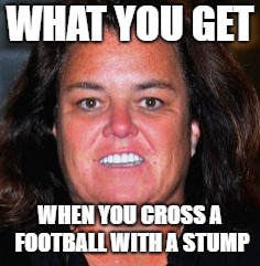 Rosie Pig | WHAT YOU GET; WHEN YOU CROSS A FOOTBALL WITH A STUMP | image tagged in rosie pig | made w/ Imgflip meme maker