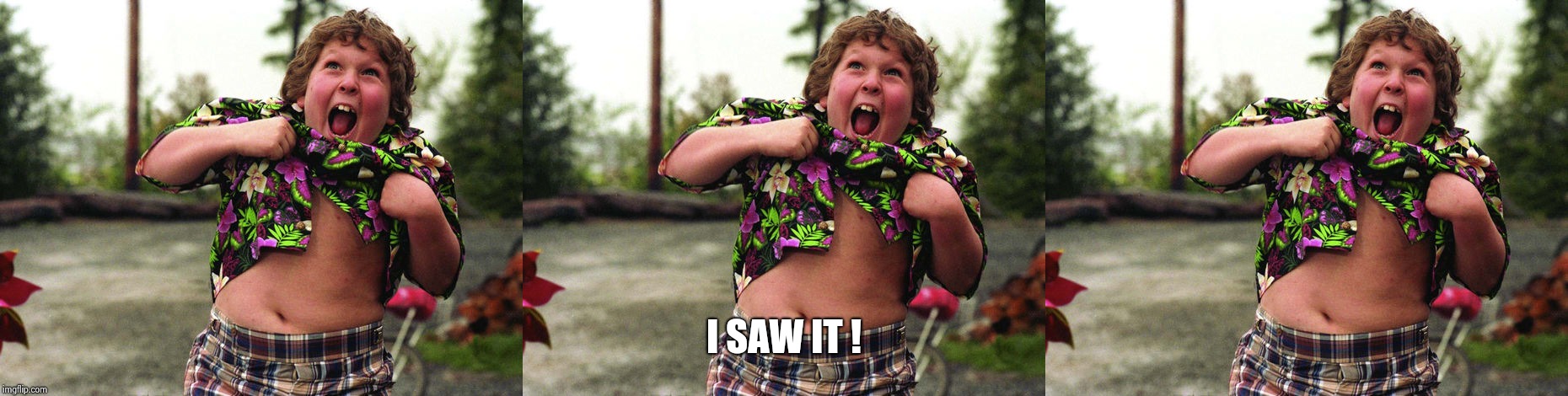 I SAW IT ! | image tagged in truffle shuffle | made w/ Imgflip meme maker