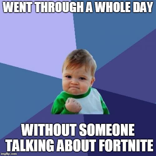 finally! | WENT THROUGH A WHOLE DAY; WITHOUT SOMEONE TALKING ABOUT FORTNITE | image tagged in memes,success kid | made w/ Imgflip meme maker
