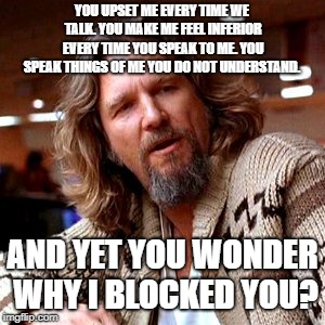 Confused Lebowski | YOU UPSET ME EVERY TIME WE TALK. YOU MAKE ME FEEL INFERIOR EVERY TIME YOU SPEAK TO ME. YOU SPEAK THINGS OF ME YOU DO NOT UNDERSTAND. AND YET YOU WONDER WHY I BLOCKED YOU? | image tagged in memes,confused lebowski | made w/ Imgflip meme maker