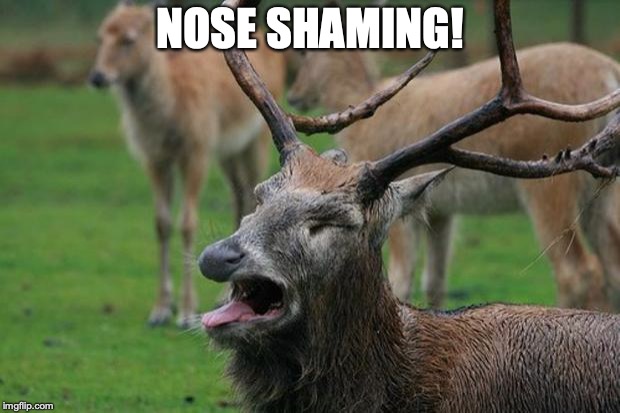 Disgusted Deer | NOSE SHAMING! | image tagged in disgusted deer | made w/ Imgflip meme maker