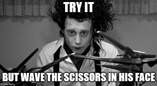 Edward Scissorhands | TRY IT BUT WAVE THE SCISSORS IN HIS FACE | image tagged in edward scissorhands | made w/ Imgflip meme maker