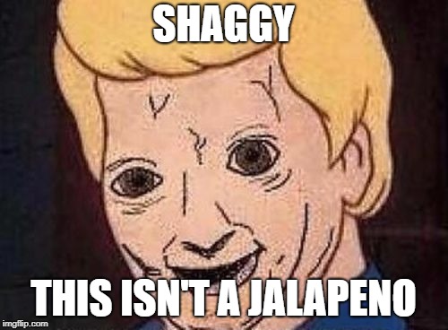 Shaggy this isnt weed fred scooby doo | SHAGGY THIS ISN'T A JALAPENO | image tagged in shaggy this isnt weed fred scooby doo | made w/ Imgflip meme maker