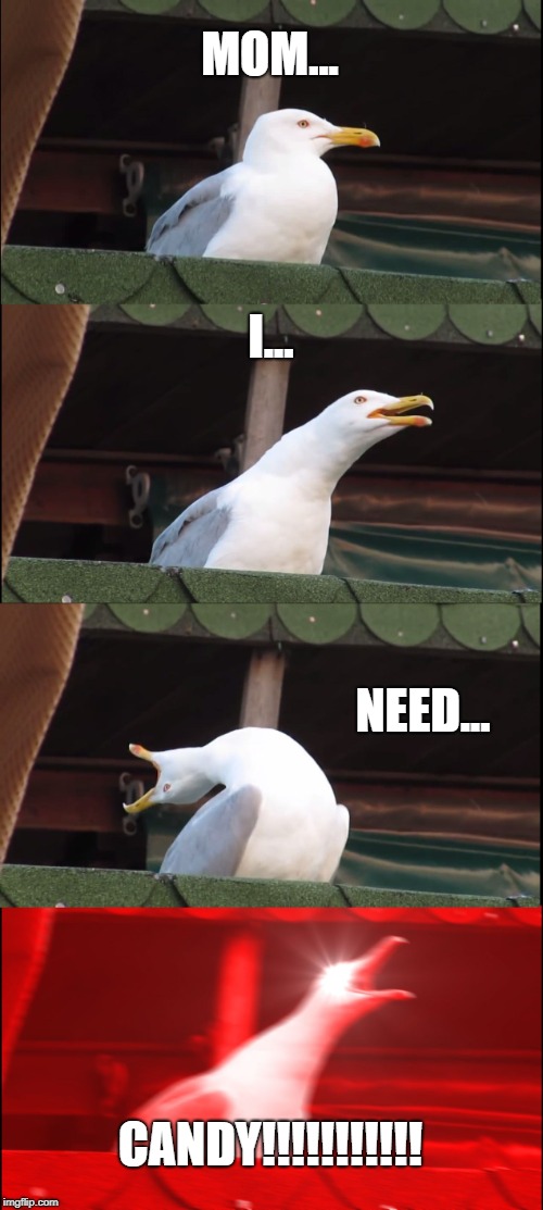 Inhaling Seagull | MOM... I... NEED... CANDY!!!!!!!!!!! | image tagged in memes,inhaling seagull | made w/ Imgflip meme maker