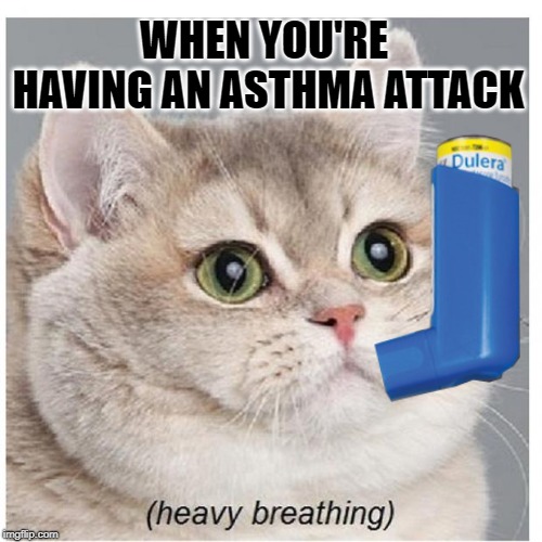Heavy Breathing Cat Meme Gif