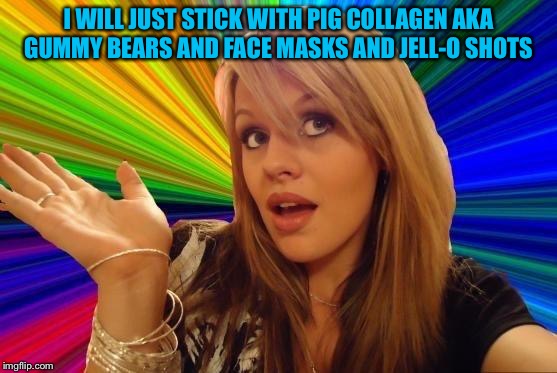 Dumb Blonde Meme | I WILL JUST STICK WITH PIG COLLAGEN AKA GUMMY BEARS AND FACE MASKS AND JELL-O SHOTS | image tagged in memes,dumb blonde | made w/ Imgflip meme maker