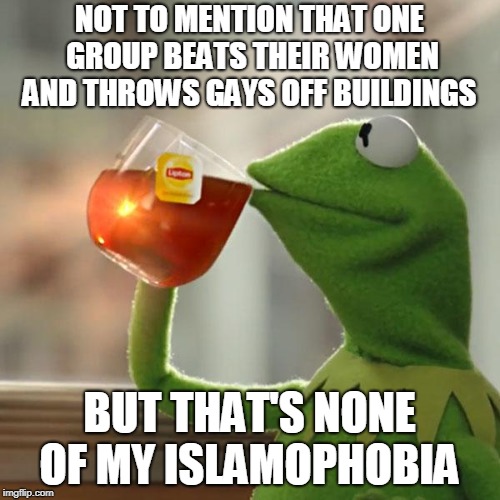 But That's None Of My Business Meme | NOT TO MENTION THAT ONE GROUP BEATS THEIR WOMEN AND THROWS GAYS OFF BUILDINGS BUT THAT'S NONE OF MY ISLAMOPHOBIA | image tagged in memes,but thats none of my business,kermit the frog | made w/ Imgflip meme maker
