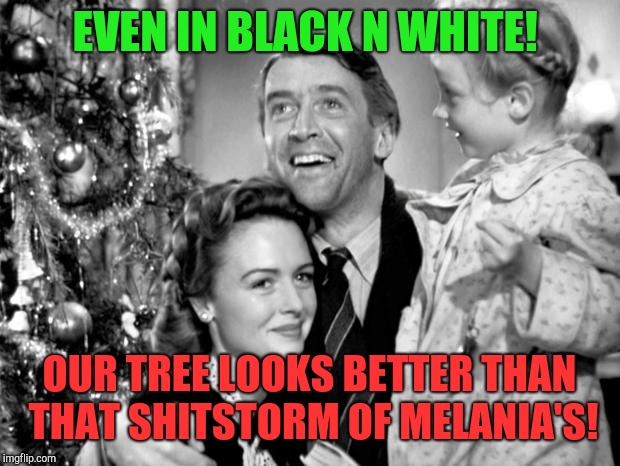 It's not so wonderful at the white house!  | EVEN IN BLACK N WHITE! OUR TREE LOOKS BETTER THAN THAT SHITSTORM OF MELANIA'S! | image tagged in it's a wonderful life,melania trump,donald trump,republicans | made w/ Imgflip meme maker