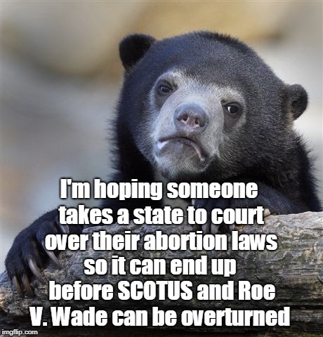 Confession Bear Meme | I'm hoping someone takes a state to court over their abortion laws so it can end up before SCOTUS and Roe V. Wade can be overturned | image tagged in memes,confession bear | made w/ Imgflip meme maker