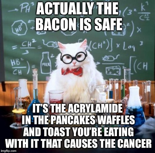Chemistry Cat Meme | ACTUALLY THE BACON IS SAFE IT’S THE ACRYLAMIDE IN THE PANCAKES WAFFLES AND TOAST YOU’RE EATING WITH IT THAT CAUSES THE CANCER | image tagged in memes,chemistry cat | made w/ Imgflip meme maker