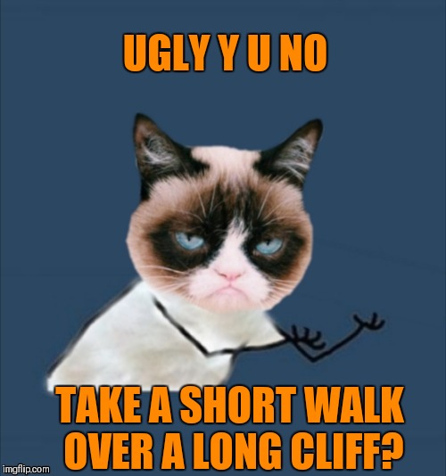 Y U November (A Socrates and punman21 event) |  UGLY Y U NO; TAKE A SHORT WALK OVER A LONG CLIFF? | image tagged in memes,funny,grumpy cat,y u november,44colt | made w/ Imgflip meme maker