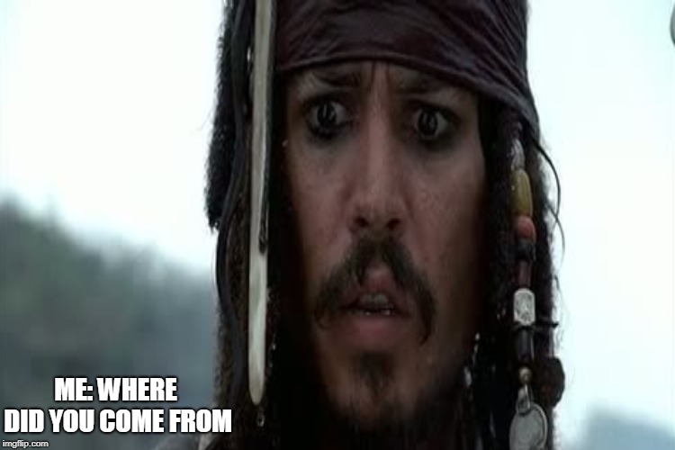 ME: WHERE DID YOU COME FROM | made w/ Imgflip meme maker