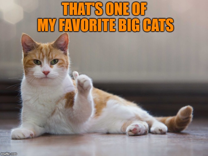 THAT'S ONE OF MY FAVORITE BIG CATS | made w/ Imgflip meme maker