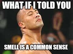 The Rock Smelling | WHAT IF I TOLD YOU SMELL IS A COMMON SENSE | image tagged in the rock smelling | made w/ Imgflip meme maker