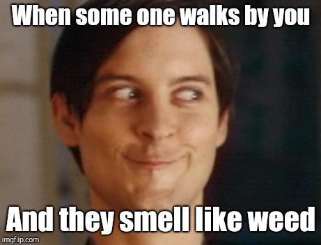 Spiderman Peter Parker Meme |  When some one walks by you; And they smell like weed | image tagged in memes,spiderman peter parker | made w/ Imgflip meme maker