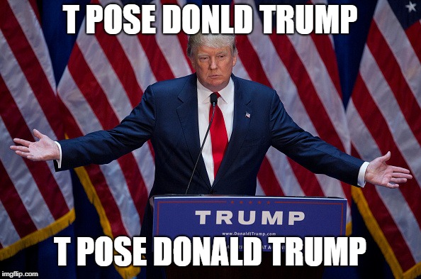 Donald Trump | T POSE DONLD TRUMP T POSE DONALD TRUMP | image tagged in donald trump | made w/ Imgflip meme maker