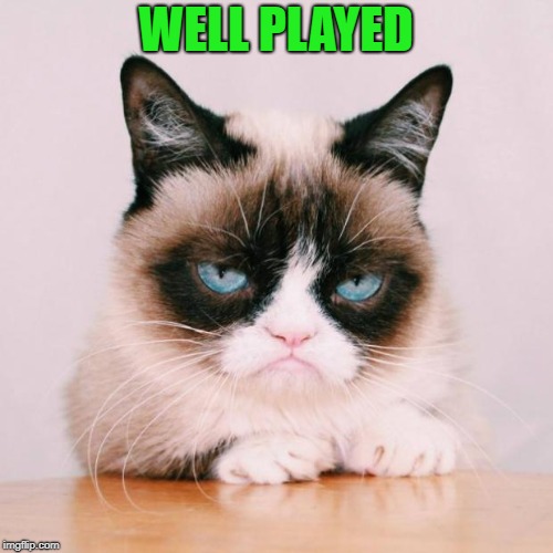 grumpy cat again | WELL PLAYED | image tagged in grumpy cat again | made w/ Imgflip meme maker