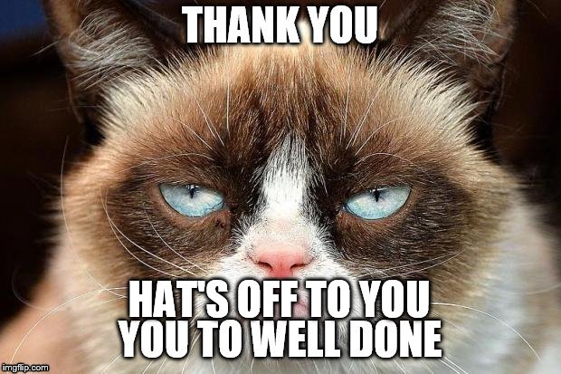 grumpy cat give's thank's | HAT'S OFF TO YOU | image tagged in grumpy cat,thanks | made w/ Imgflip meme maker