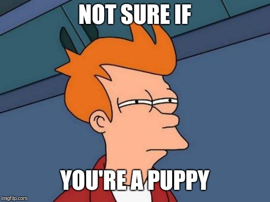 Futurama Fry Meme | NOT SURE IF YOU'RE A PUPPY | image tagged in memes,futurama fry | made w/ Imgflip meme maker