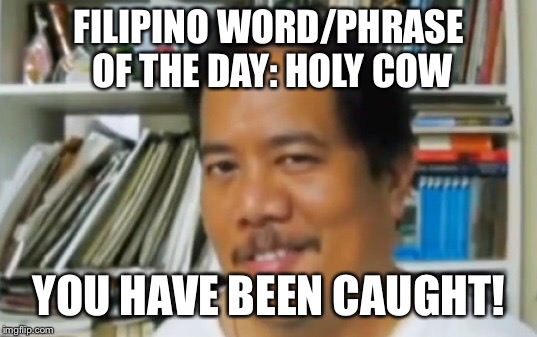 Huli ikaw/Huli ka = You have been caught  | FILIPINO WORD/PHRASE OF THE DAY: HOLY COW; YOU HAVE BEEN CAUGHT! | image tagged in filipino | made w/ Imgflip meme maker