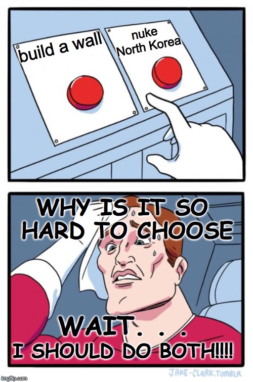 JUST CHOOSE! | nuke North Korea; build a wall; WHY IS IT SO HARD TO CHOOSE; WAIT. . . I SHOULD DO BOTH!!!! | image tagged in donald trump,build a wall,north korea | made w/ Imgflip meme maker