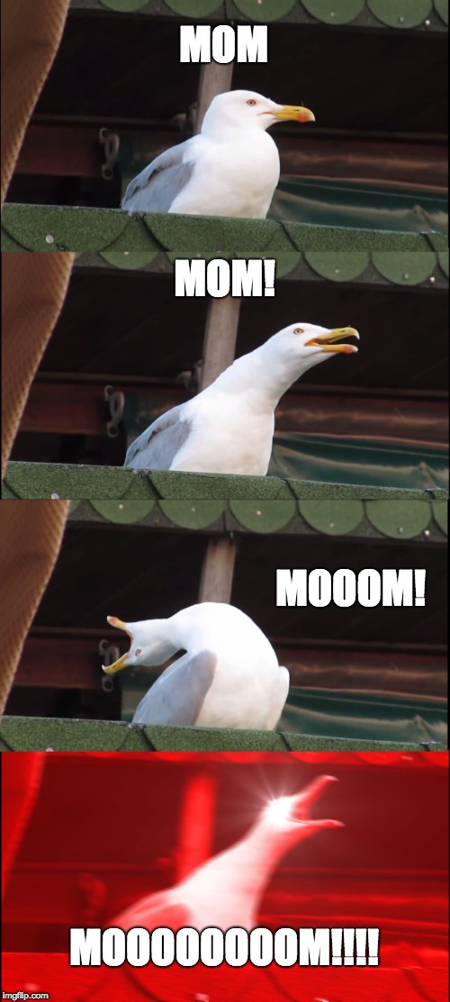 Inhaling Seagull Meme | MOM; MOM! MOOOM! MOOOOOOOOM!!!! | image tagged in memes,inhaling seagull | made w/ Imgflip meme maker