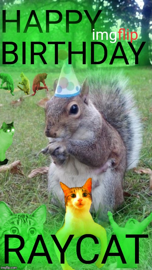 Super Birthday Squirrel Meme | HAPPY BIRTHDAY RAYCAT img flip | image tagged in memes,super birthday squirrel | made w/ Imgflip meme maker