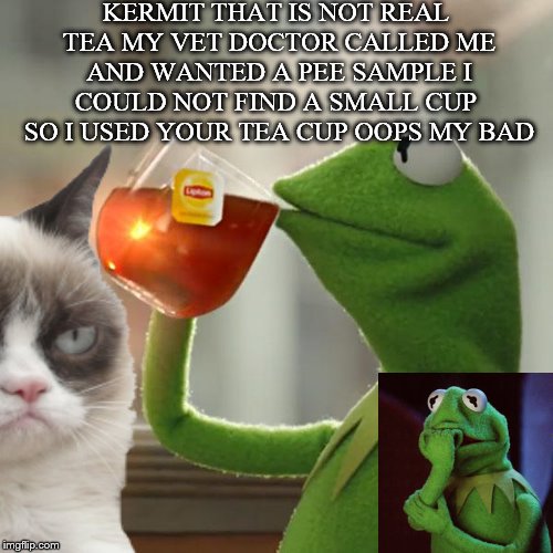 Kermit the frog and grumpy cat | KERMIT THAT IS NOT REAL TEA MY VET DOCTOR CALLED ME AND WANTED A PEE SAMPLE I COULD NOT FIND A SMALL CUP  SO I USED YOUR TEA CUP OOPS MY BAD | image tagged in kermit the frog,grumpy cat,funny | made w/ Imgflip meme maker