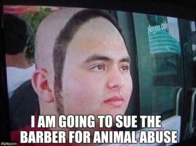 Bad barbers | I AM GOING TO SUE THE  BARBER FOR ANIMAL ABUSE | image tagged in long lost memes | made w/ Imgflip meme maker